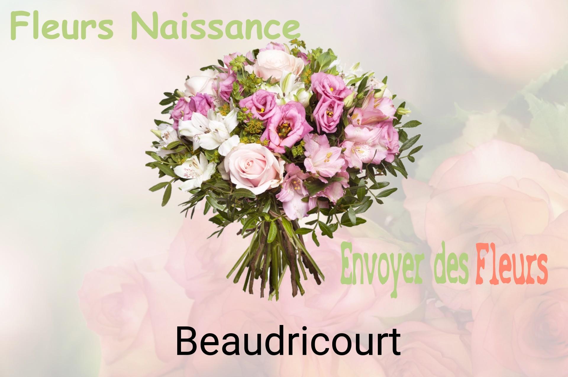 Bouquet de fleurs de naissance livré à Beaudricourt